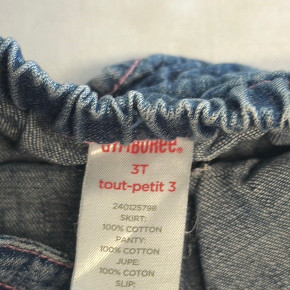 Gymboree - Blue Denim Skort with Flared Design and embroidered strawberry - Picture 2 of 6